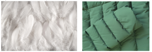 Plume et duvet