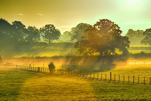 Campagne