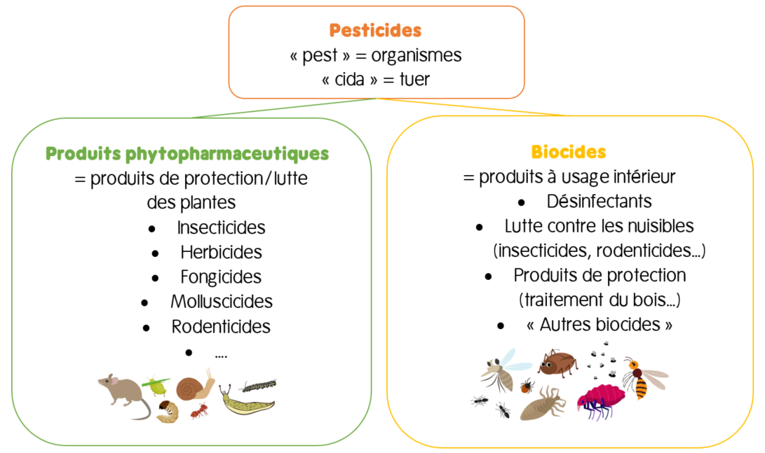 Typologie pesticides