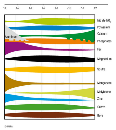 Diagramme d’assimilation des éléments minéraux en fonction du PH 