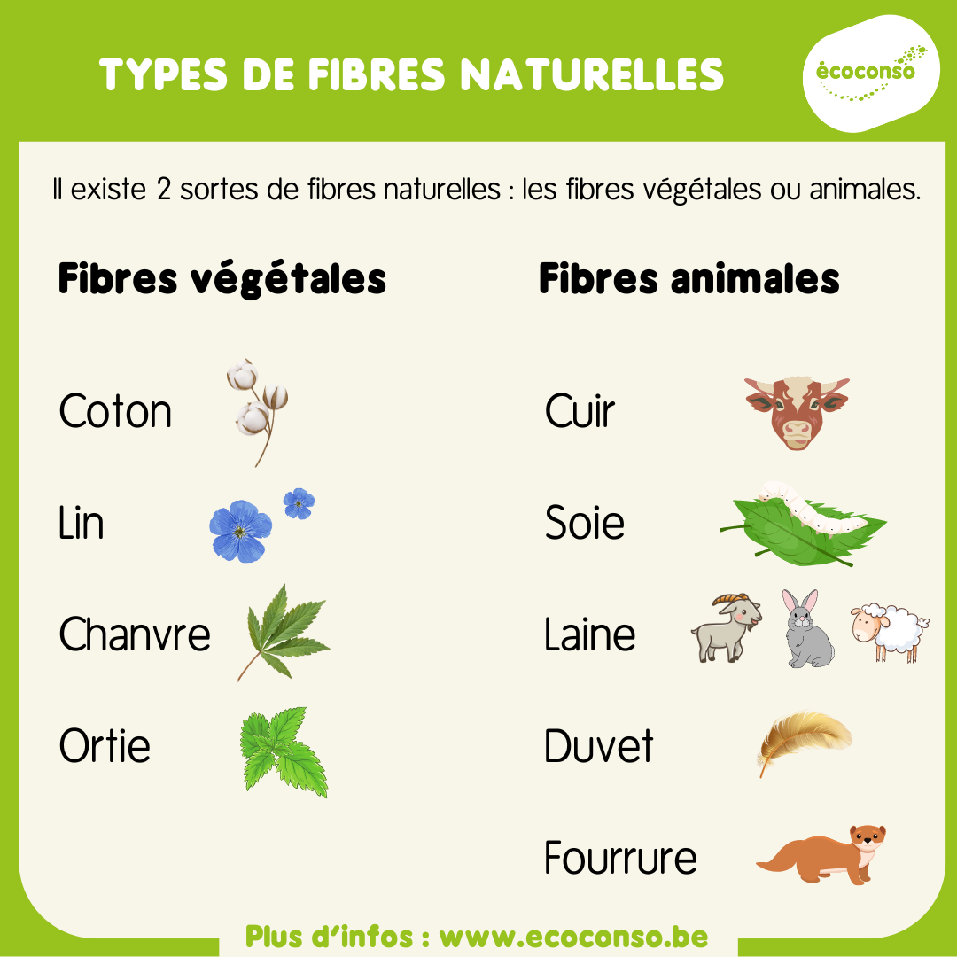 Types de fibres naturelles