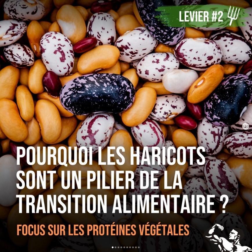 Pourquoi les haricots sont un pilier de la transition alimentaire ?