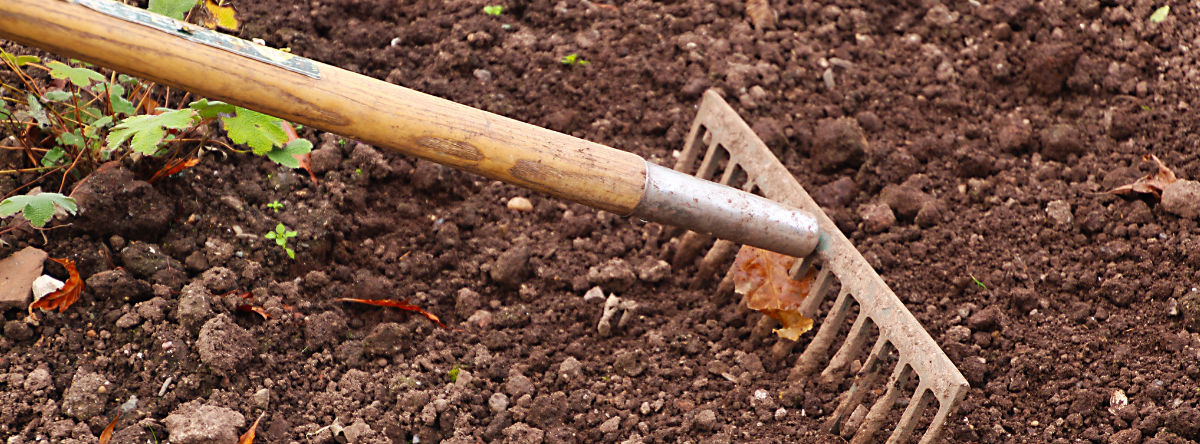 Potager : des contenants pour toutes les cultures