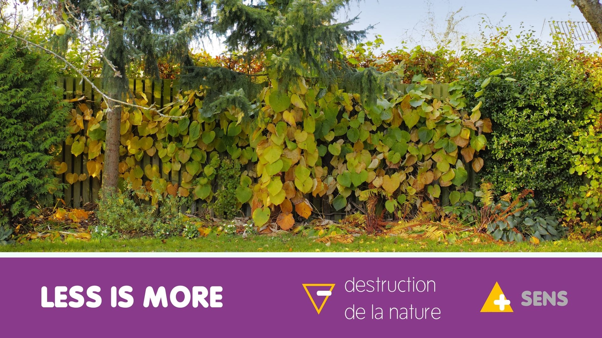 Webinaire moins de destruction de la nature pour plus de sens