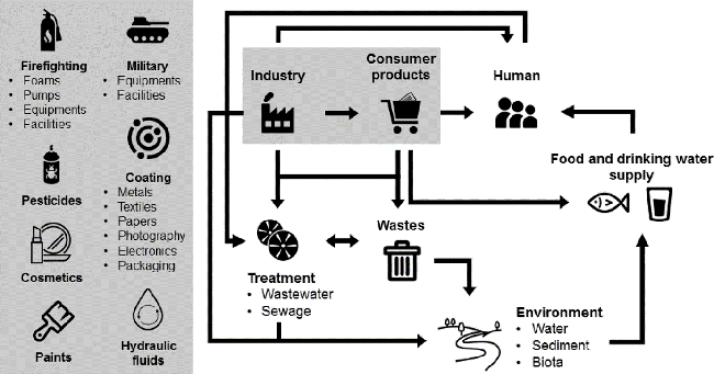 cycle des pfas