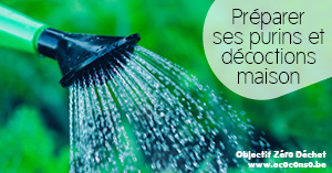 On remplace les pesticides et engrais par des purins et décoctions maison On remplace les pesticides et engrais par des purins et décoctions maison