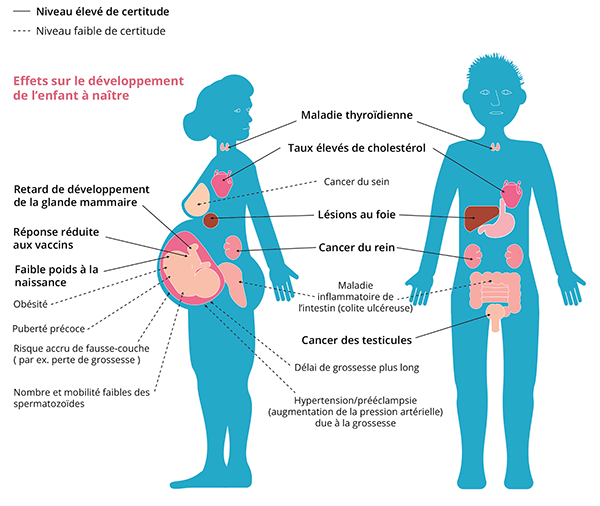 Effets des PFAS sur la santé humaine