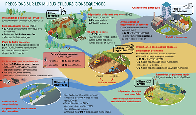 Pressions sur l'environnement