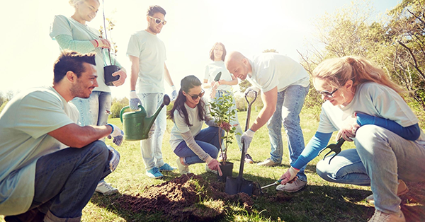 Transition écologique : dans quelle action collective s'engager ? | écoconso