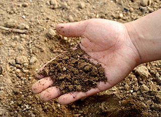 Faire faire une analyse du sol du jardin Analyser la terre de son jardin