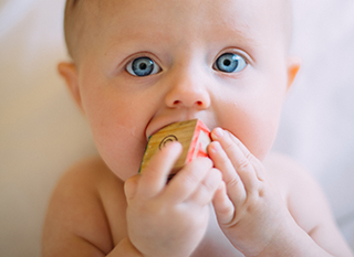 Les bébés mettent leurs jouets en bouche