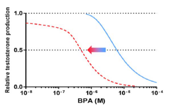 Effets du bisphnéol A en présence de 7 autres composés