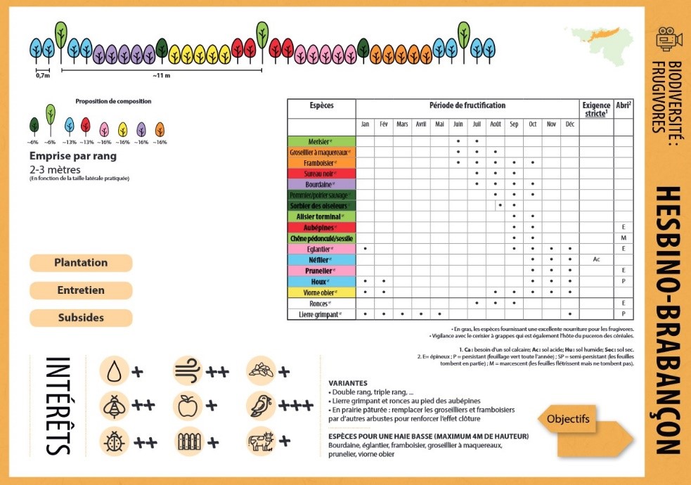 Fiche pour une haie qui prouit des fruits pour les animaux