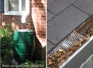 Grilles pour éviter les feuilles dans le tonneau d'eau de pluie