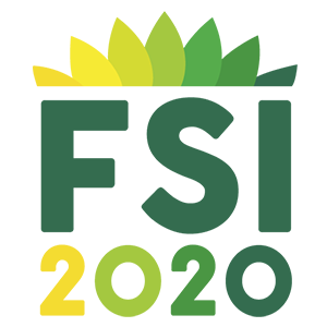 FSI 2020