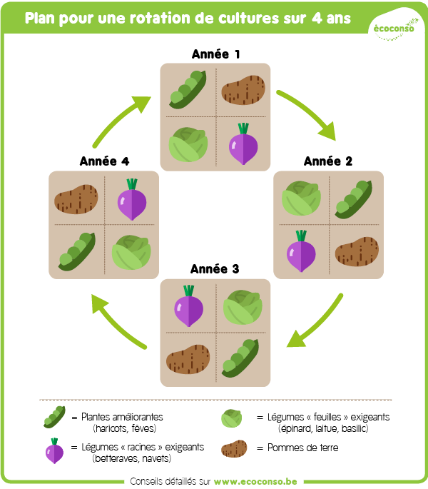 Plan de rotation de cultures sur 4 ans