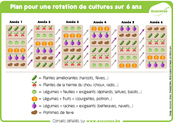 Exemple de plan de rotation de cultures sur 6 ans