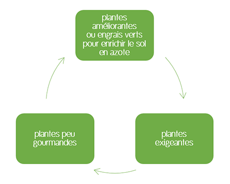 Cycle de base pour la rotation des cultures