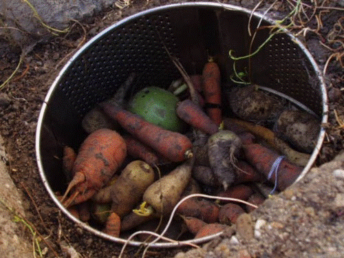 Silo pour conserver les légumes