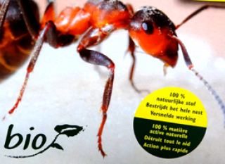 Les fourmis, plus efficaces que les pesticides