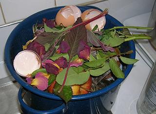 Seau à compost. Photo par Kelsey sur flickr - https://www.flickr.com/photos/lekrosri/1752984672/